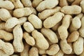 Food background - big peanuts in shells situated arbitrarily Royalty Free Stock Photo