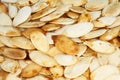 Food background - big unshelled roasted pumpkin seeds