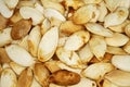 Food background - big unshelled roasted pumpkin seeds