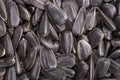 Food background from black seeds of sunflower Royalty Free Stock Photo