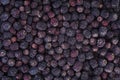 Food background: dried aronia berries Royalty Free Stock Photo