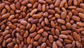 Food background with dry pinto beans, a nutrient-dense legume with extensive health benefits