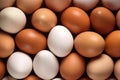 Food background. Eggs background. Royalty Free Stock Photo