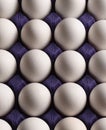 Food background. Eggs Royalty Free Stock Photo