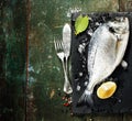 Food background with Fish and Wine Royalty Free Stock Photo