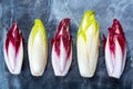 Food background, flat lay concept with fresh green Belgian endive or chicory and red Radicchio vegetables, also known as witlof