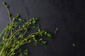 Food background with fresh green thyme herb sprigs bunch on black slate table. Top view, copy space Royalty Free Stock Photo