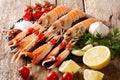 Food background fresh raw langoustine, scampi with vegetables, h Royalty Free Stock Photo