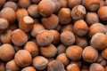 Food background of hazelnuts. Fresh filbert close-up Royalty Free Stock Photo