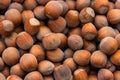 Food background of hazelnuts. Fresh filbert close-up Royalty Free Stock Photo