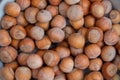 Food background. Hazelnuts texture. Top view . Hazelnut Nut Health Organic Brown Filbert Autumn Background Concept