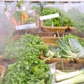 Food background leeks, carrots and parsley. Bunches of fresh green leaves in a store close up