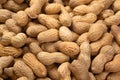 Food background of peanuts in shell, top view. Heap of fresh peanuts