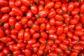 Food background. plum cherry tomatoes top view pattern Royalty Free Stock Photo