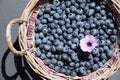 Food background. Ripe blueberries in rustic basket on stone table . Closeup, top view, sharp shadows