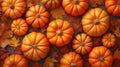 food background ripe pumpkins