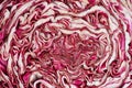 Food background: Slice of radicchio salad head Royalty Free Stock Photo