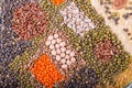 Food background. Stylized food map of various Legumes, sereals, beans, grain and seeds. Kind of lentils, bulgur, mash, chickpeas,