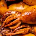 Cooked squid close-up Royalty Free Stock Photo