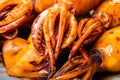 Texture of cooked squid close-up Royalty Free Stock Photo