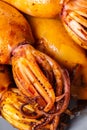 Texture of cooked squid close-up Royalty Free Stock Photo