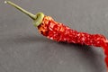 Food background. Texture of a pod of dry red hot pepper. Royalty Free Stock Photo