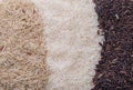 Food background with three rows of rice varieties