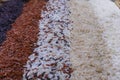 Food background with top view of five rows of rice