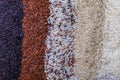 Food background with top view of five rows of rice