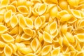 Food background from uncooked conchiglie pasta Royalty Free Stock Photo