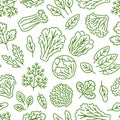 Food background, vegetables seamless pattern. Healthy eating - lettuce, iceberg salad, parsley, dill, spinach leaf line