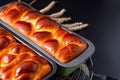 Food bakery concept Fresh baked brioche Braided Bread loaf with copy space Royalty Free Stock Photo