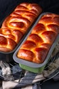 Food bakery concept Fresh baked brioche Braided Bread loaf with copy space Royalty Free Stock Photo