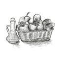 Food basket with vegetables hand drawn vector illustration. Royalty Free Stock Photo