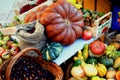 FOOD- Beautifully Colorful Fruits and Vegetables in a Market