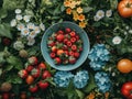 Food Beverage summer Party Meal Drink Concept, flowers, berries, vegetables and herbs Royalty Free Stock Photo