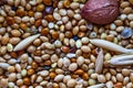 Food for birds. Food for parrots for every day. Close up Seeds of cereals. Canary seed. Abstract background