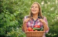 Food blogger. kid on summer farm. Organic food. harvest vitamin. spring market garden. little girl vegetable in basket Royalty Free Stock Photo