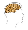 Food for brain, the human brain from the walnuts. Walnuts in the brain. Human silhouette with shelled walnuts on white background. Royalty Free Stock Photo