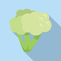 Food brocoli icon flat vector. Plant salad