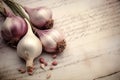 Food bulb spice ingredient closeup background healthy vegetable fresh garlic organic Royalty Free Stock Photo