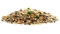 Food for canaries, parrots, finches. Mixed seeds for bird feeding isolated on white background. Food for exotic birds Royalty Free Stock Photo