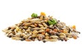 Food for canaries, parrots, finches. Mixed seeds for bird feeding isolated on white background. Food for exotic birds Royalty Free Stock Photo