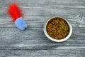 Food for cat in bowl and toy mause on wooden backround. Top view. Close-up Royalty Free Stock Photo