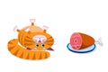 Food for cats and pets. A cute cartoon red cat lies on its back and looks at a bowl of food, ham, different foods. Vector isolated