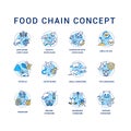 Food chain concept icons set. Primary, secondary and tertiary consumers. Small and top carnivores. Life cycle idea thin