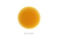 Food circle round egg yolk