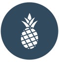 Ananas Isolated Vector icon which can easily modify or edit Royalty Free Stock Photo