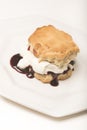 Food : Close up of a jam scone with fresh, thick cream. 4