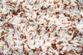 Food - Close up Red cargo jasmine rice